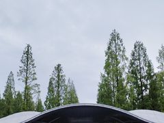 -东平国家森林公园