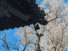 -潭柘寺景区