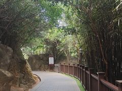 -福建泉州仙公山风景名胜区