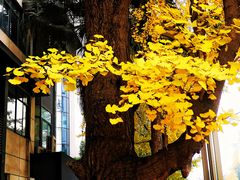 -四川大学(华西校区)