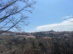 -青岛德国总督楼旧址博物馆