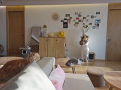 -猫腻·猫咖·撸猫馆(星光大道店)