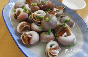 Salted Water Conch