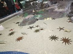 -福州罗源湾海洋世界旅游区