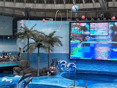 -海合安成都极地海洋公园