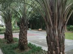 -苏州河梦清园环保主题公园