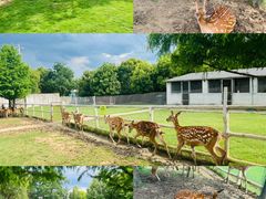 -南京金牛湖风景区