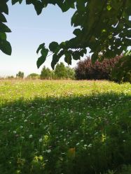 -DORA kids 朵拉儿童摄影花园店