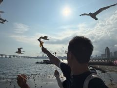 -星海广场