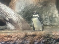 -福州罗源湾海洋世界旅游区