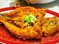 -圆苑(静安寺店)
