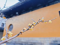 -西园戒幢律寺