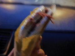 -杨天玉腊牛羊肉