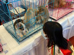-家乐福(四元桥购物中心店)