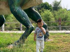 -世界恐龙谷景区