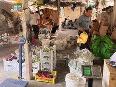 -马陆小张葡萄园农家乐