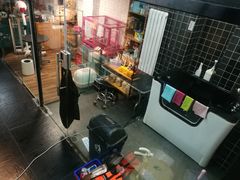 -Goku PET SHOP宠物视觉生活馆(双井店)