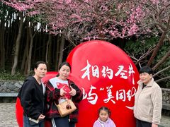 -瑞安圣井山景区