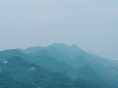 -大金鹰园