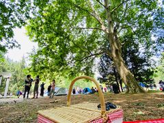 -上海共青森林公园