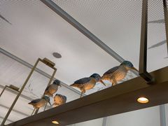 -潮堂 · 潮州菜(恒隆广场店)