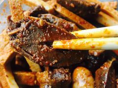 -王氏老字号宁强麻辣鸡(天荡花苑店)