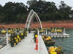 -广州市流溪河国家森林公园