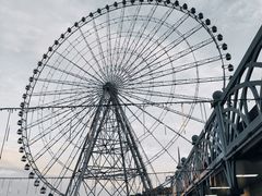 -太湖之星游览园