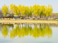 -南海子公园