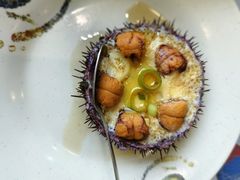-鲜得莱渔港·小平岛海胆馆(七贤岭店)