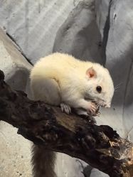 -Zoolung Zoolung动物主题公园(海信广场店)