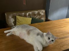 -咖法森林·咖啡  酒吧(天河店)