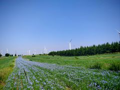 -草原天路(张北县)