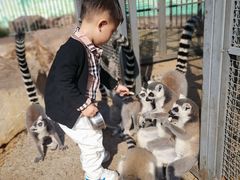 -无锡动物园·太湖欢乐园