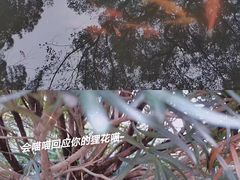 -杭州植物园