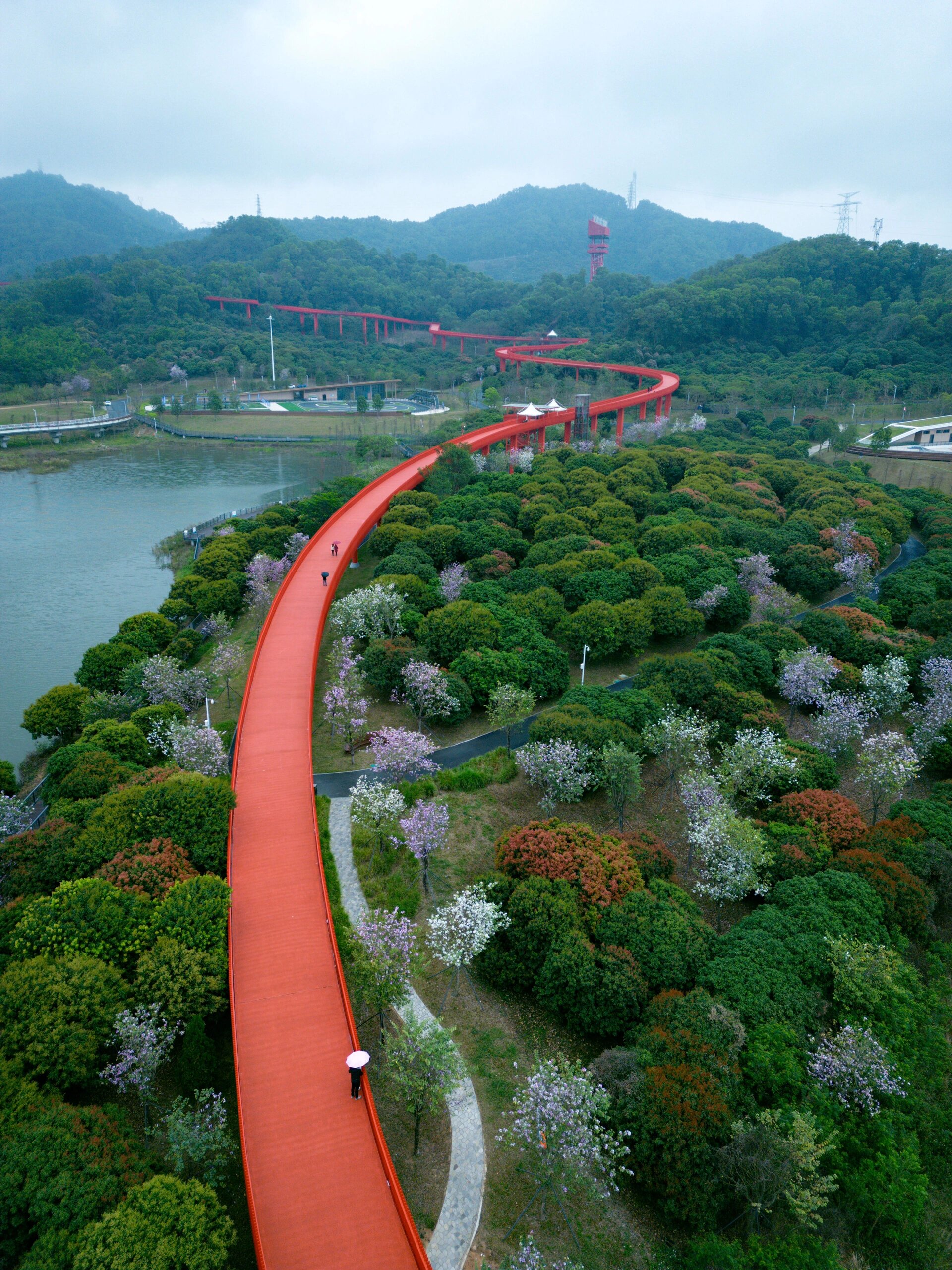 大顶岭绿道地图图片