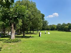 -吴淞炮台湾湿地森林公园烧烤区