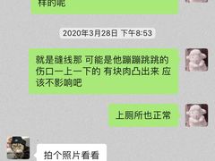 -创凡宠物医院·骨专科  猫科中心(西乡分院)