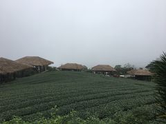 -优游吧斯邹族文化部落