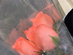 -亭亭鲜花店(中山北路店)