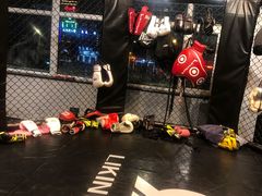 -Liking Fit 24H智能健身(旗舰店)