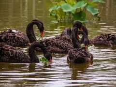 -雪山彩虹谷景区