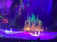 -珠海横琴长隆《卡卡虎奇遇记》