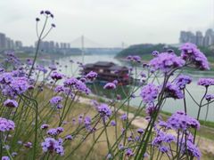 -石井坡(地铁站)