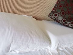 -重庆长寿碧桂园凤悦凤凰酒店