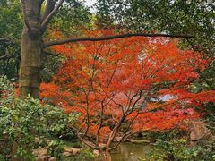 -中国茶叶博物馆(双峰馆区)