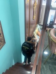 -绅仕門男士理发馆