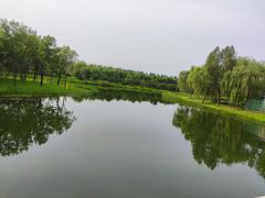 -东郊湿地公园