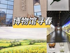 -四川大学博物馆