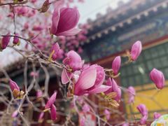 -潭柘寺景区